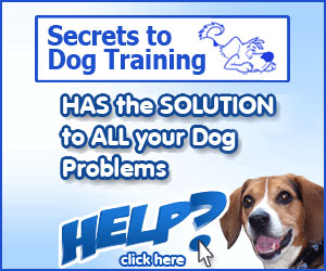 Dog Training Secrets